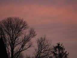 Natur